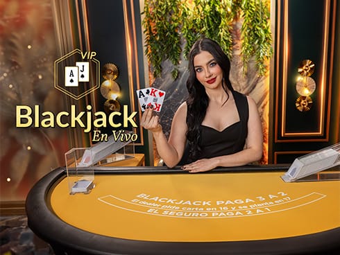 VIP Blackjack en Español 8 game icon